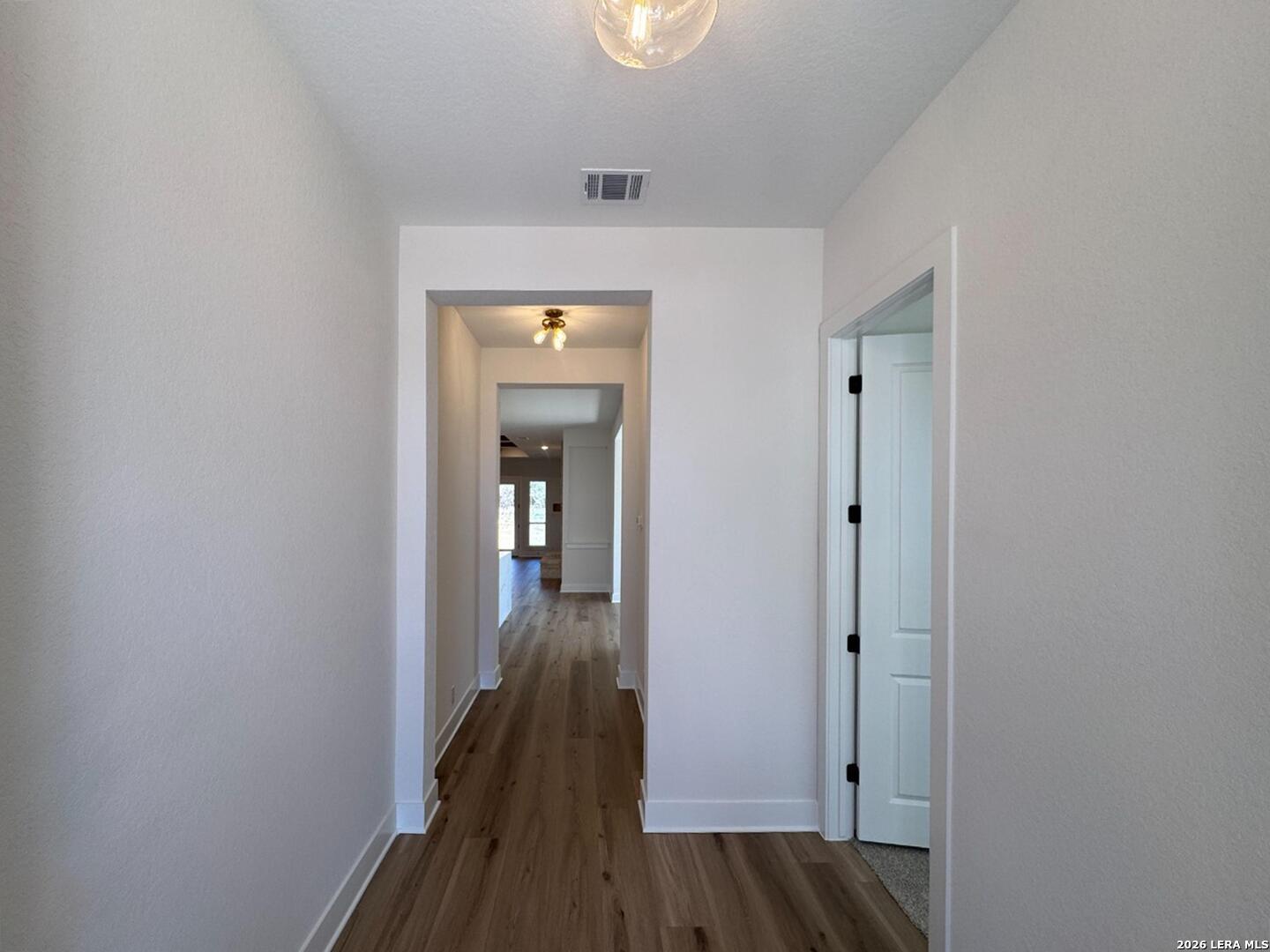 10891 Chestnut Warbler New Braunfels TX 78132