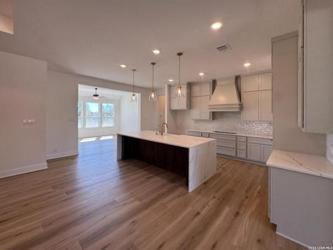 10891 Chestnut Warbler New Braunfels TX 78132