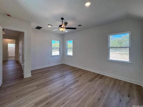 10891 Chestnut Warbler New Braunfels TX 78132