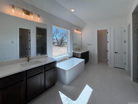 10891 Chestnut Warbler New Braunfels TX 78132