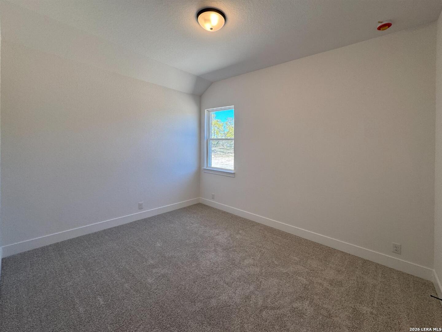 10891 Chestnut Warbler New Braunfels TX 78132