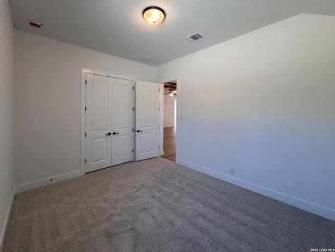 10891 Chestnut Warbler New Braunfels TX 78132