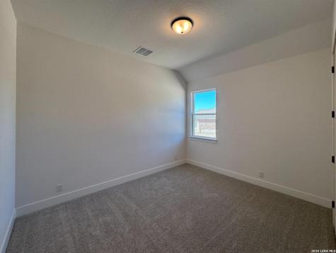 10891 Chestnut Warbler New Braunfels TX 78132