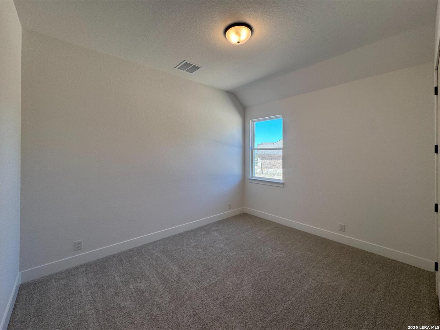 10891 Chestnut Warbler New Braunfels TX 78132
