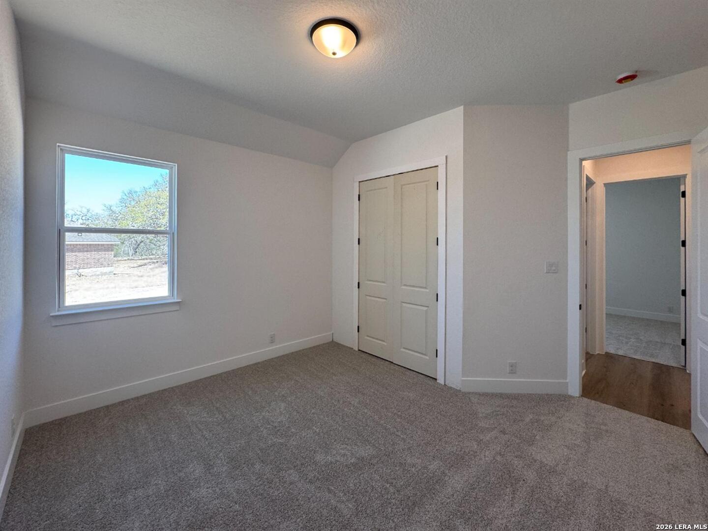10891 Chestnut Warbler New Braunfels TX 78132