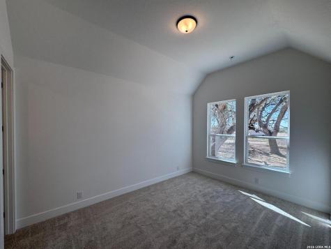 10891 Chestnut Warbler New Braunfels TX 78132