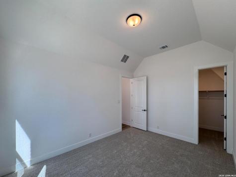10891 Chestnut Warbler New Braunfels TX 78132