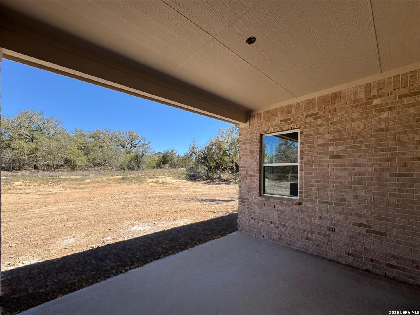 10891 Chestnut Warbler New Braunfels TX 78132
