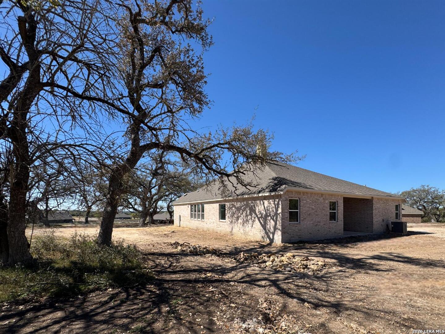 10891 Chestnut Warbler New Braunfels TX 78132