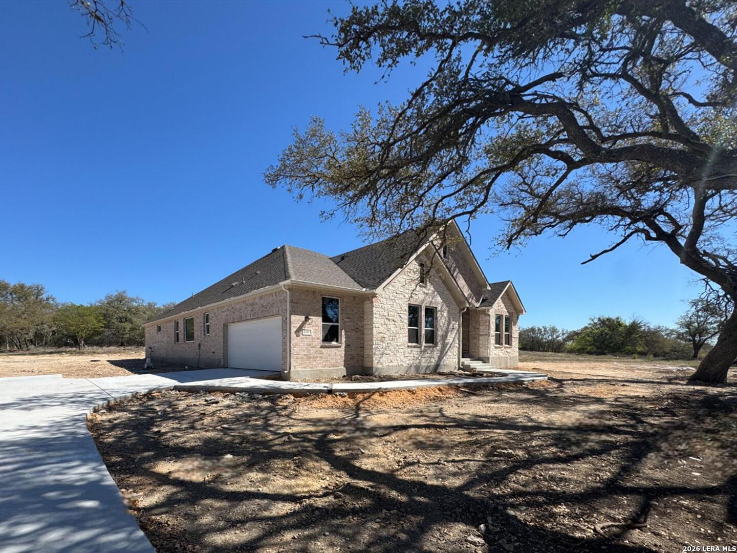 10891 Chestnut Warbler New Braunfels TX 78132