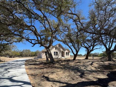 10891 Chestnut Warbler New Braunfels TX 78132