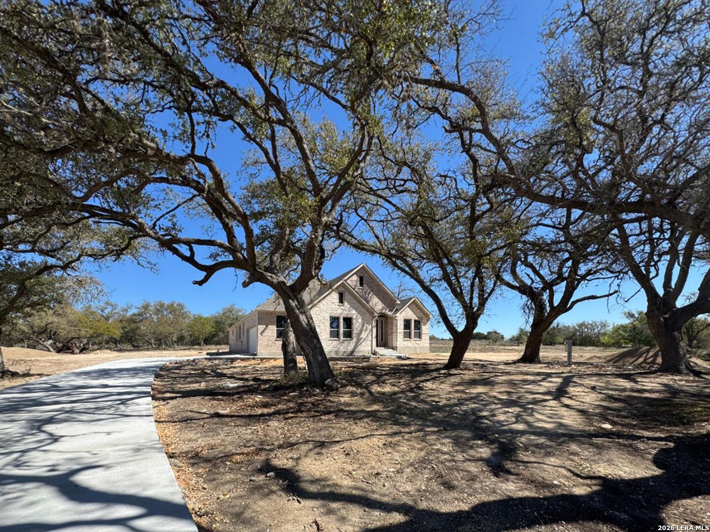 10891 Chestnut Warbler New Braunfels TX 78132