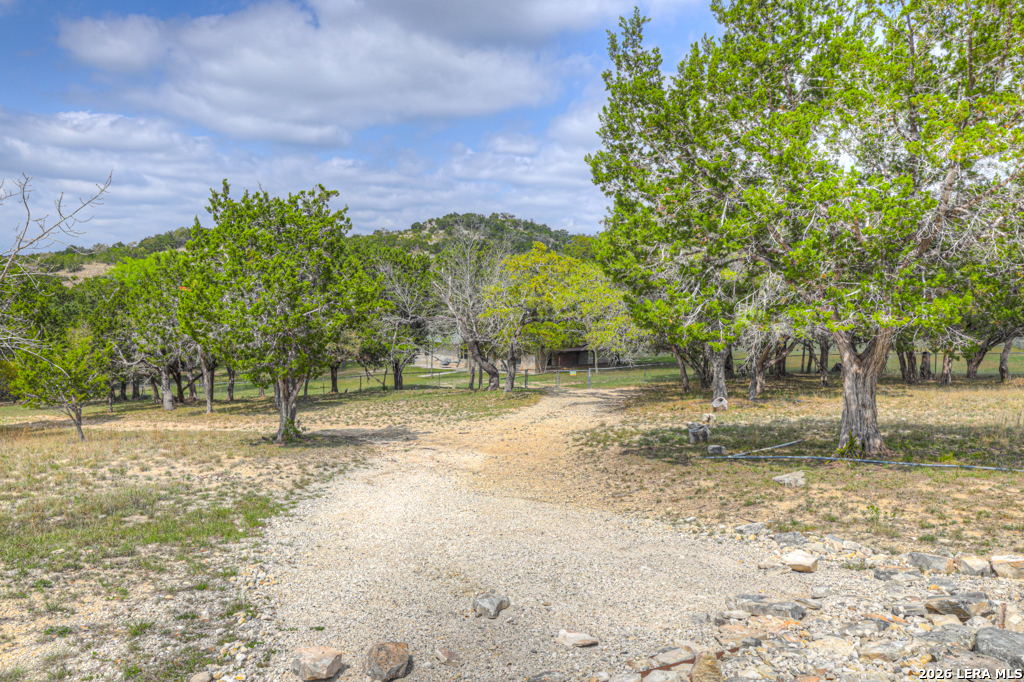 109 Saddle Wood Trail Comfort TX 78013