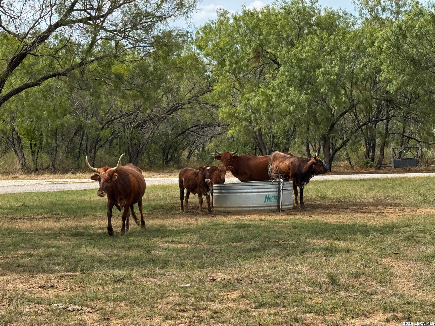 11970 New Sulphur Springs Road Adkins TX 78101