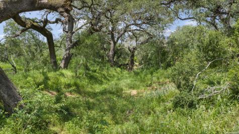 11970 New Sulphur Springs Road Adkins TX 78101