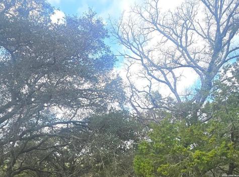 Prospect/yucca Prospect/yucca Horseshoe Bay TX 78748