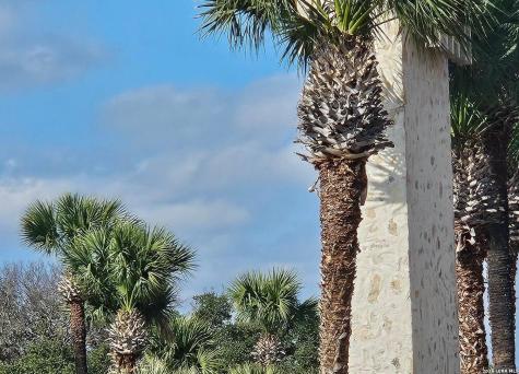 Prospect/yucca Prospect/yucca Horseshoe Bay TX 78748