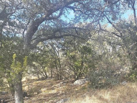 Prospect/yucca Prospect/yucca Horseshoe Bay TX 78748