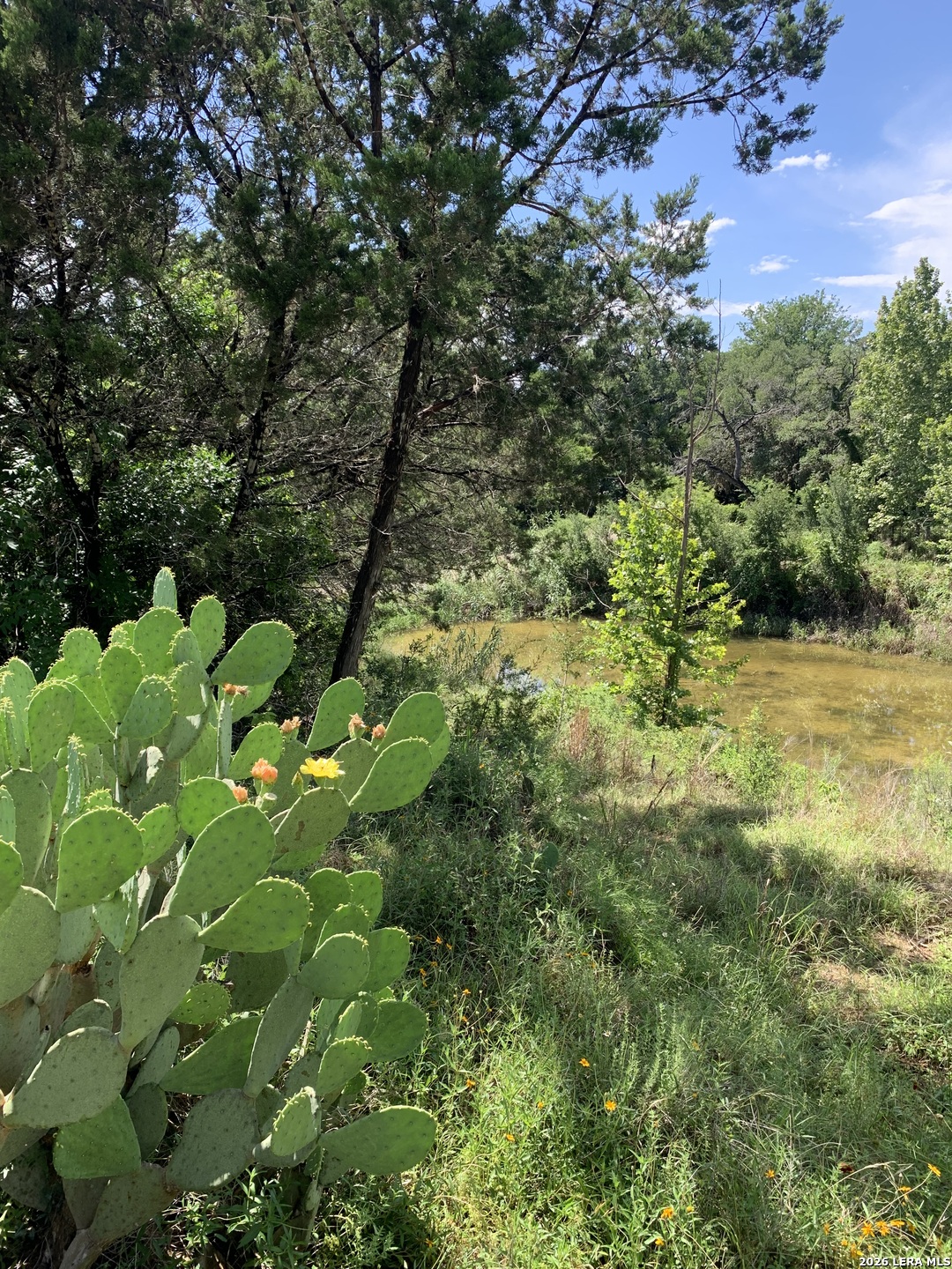 14156 State Highway 16 S Pipe Creek TX 78063