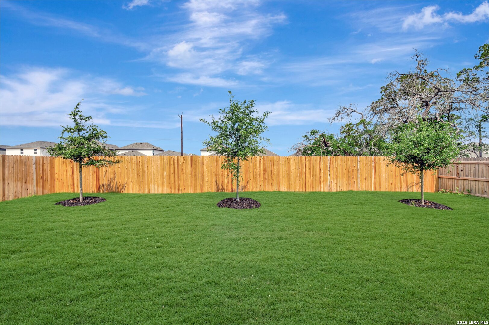 11742 Warlock San Antonio TX 78254
