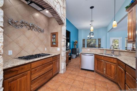 229 Legacy Trail Drive La Vernia TX 78121