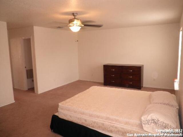 9611 Copper Falls Converse TX 78109
