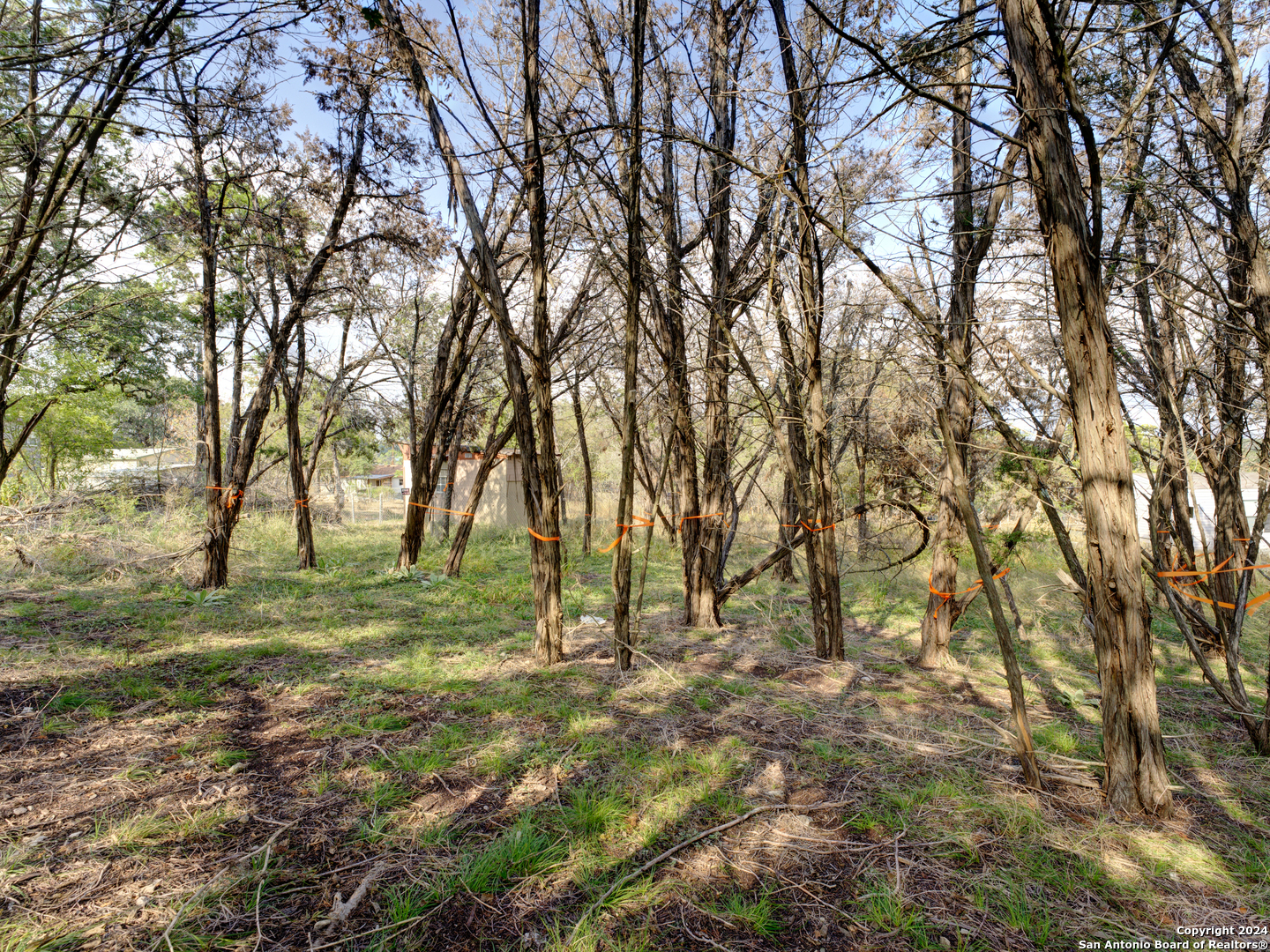 10468 Rebecca Creek Spring Branch TX 78070