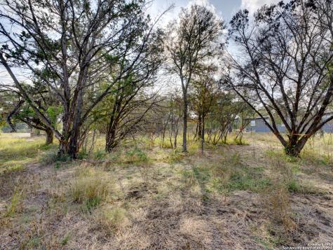 10468 Rebecca Creek Spring Branch TX 78070
