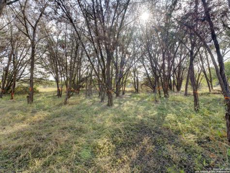 10468 Rebecca Creek Spring Branch TX 78070