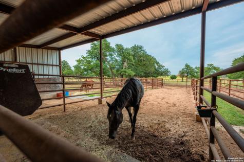 1554 Vintage Oaks Drive Fredericksburg TX 78624