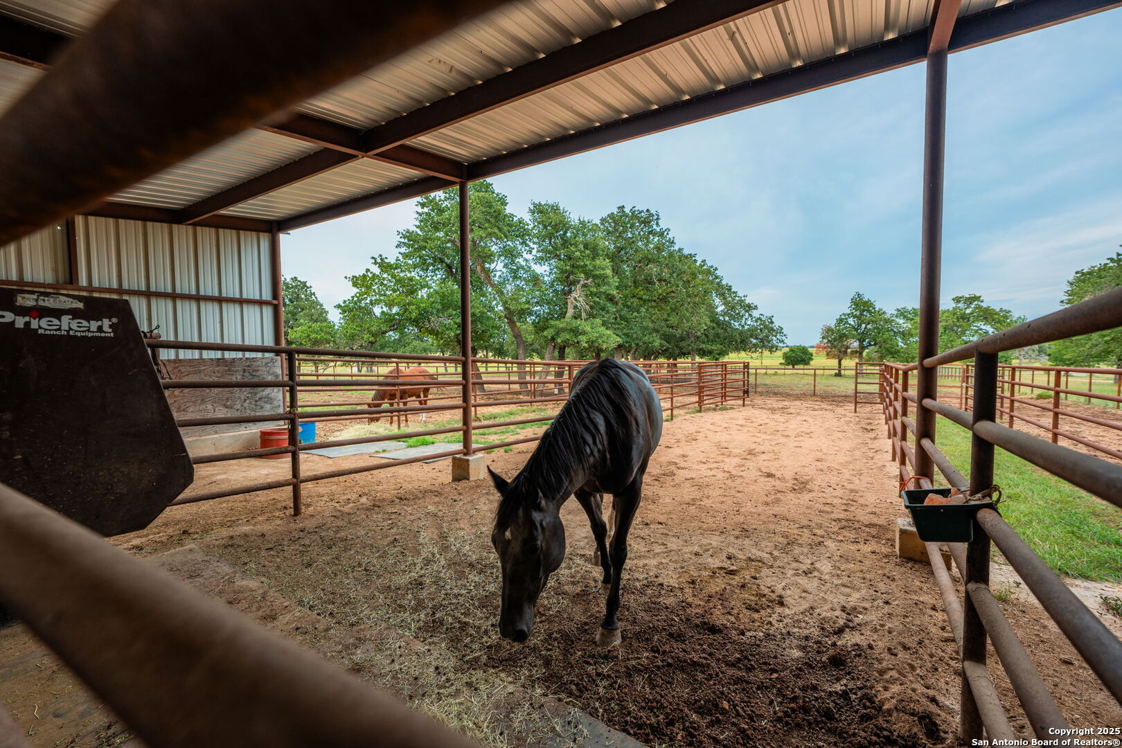 1554 Vintage Oaks Drive Fredericksburg TX 78624