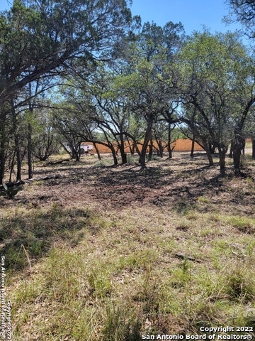 Lot 1-2 Iowa Lakehills TX 78063