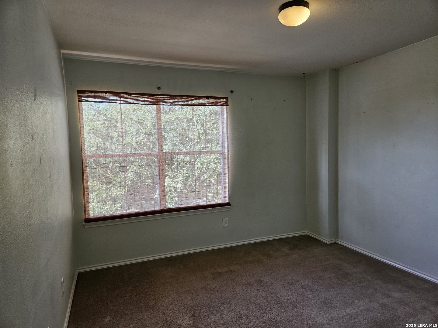 6935 Caribou Creek San Antonio TX 78244