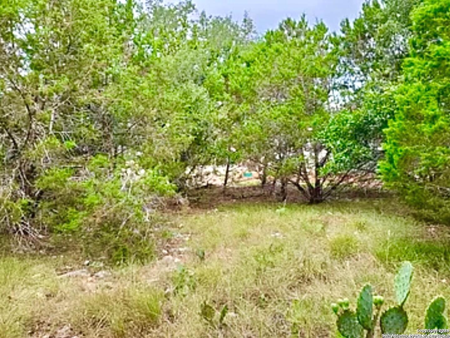 119 N John Bird Blanco TX 78606