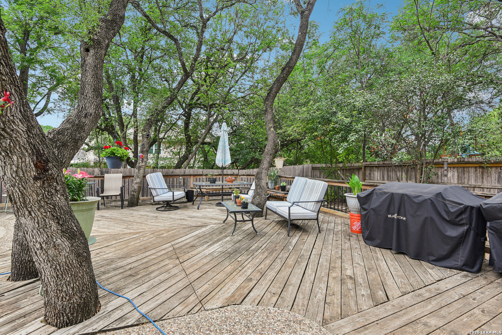 15743 Wood Sorrel San Antonio TX 78247