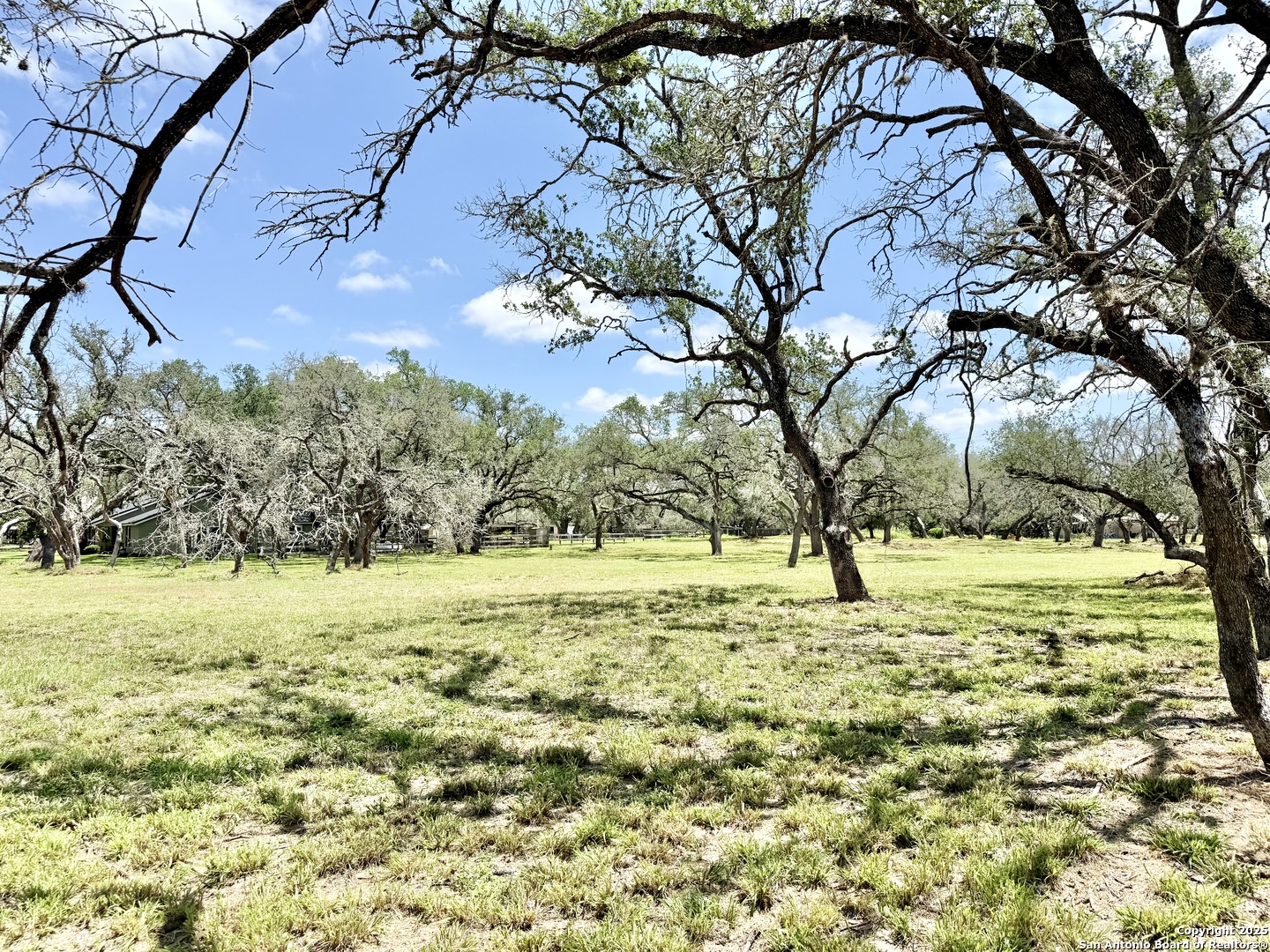 Lot 53a Massad Pleasanton TX 78064