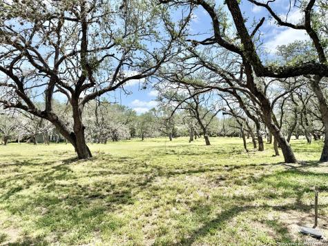 Lot 53a Massad Pleasanton TX 78064