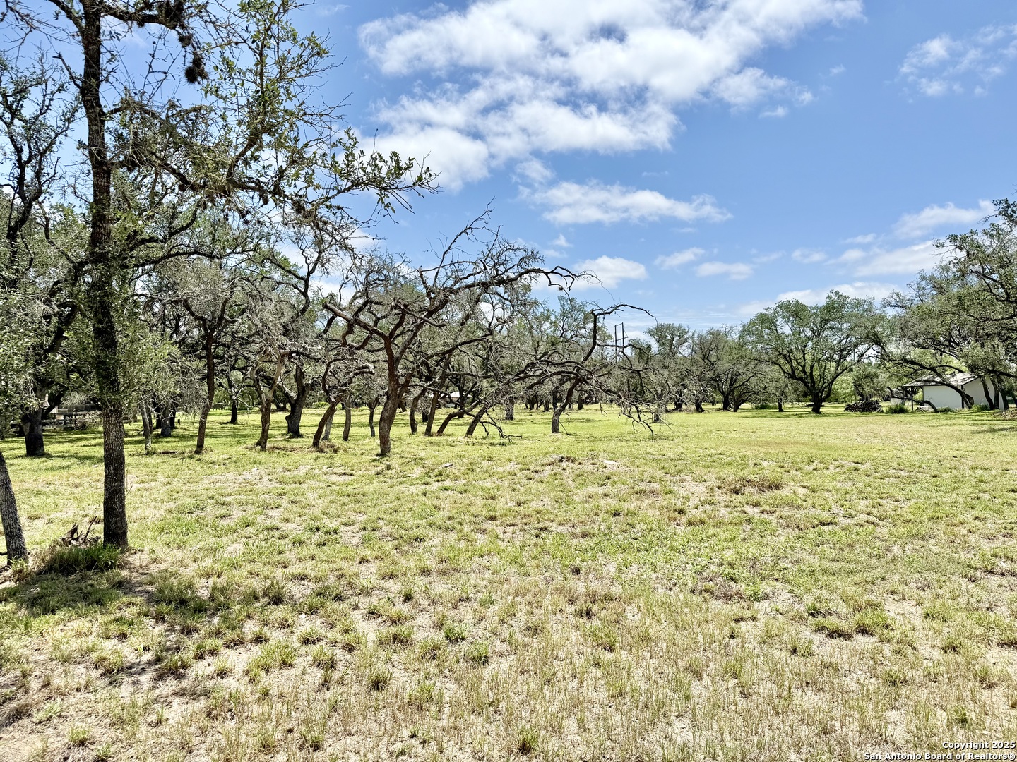 Lot 53a Massad Pleasanton TX 78064