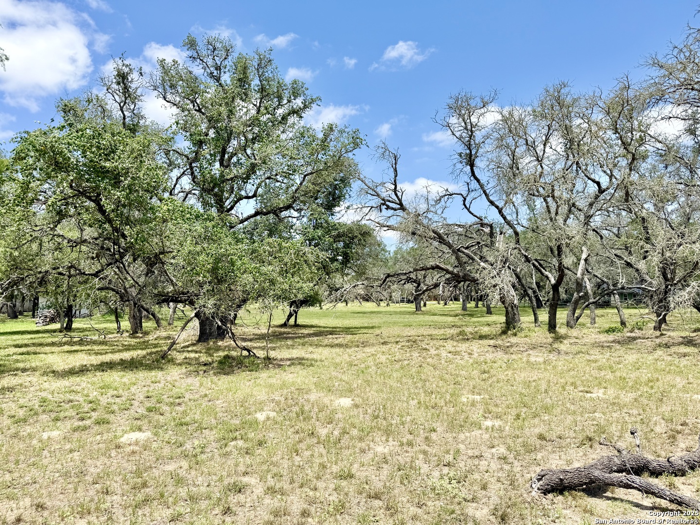 Lot 53a Massad Pleasanton TX 78064