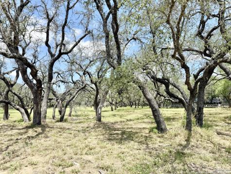 Lot 53a Massad Pleasanton TX 78064