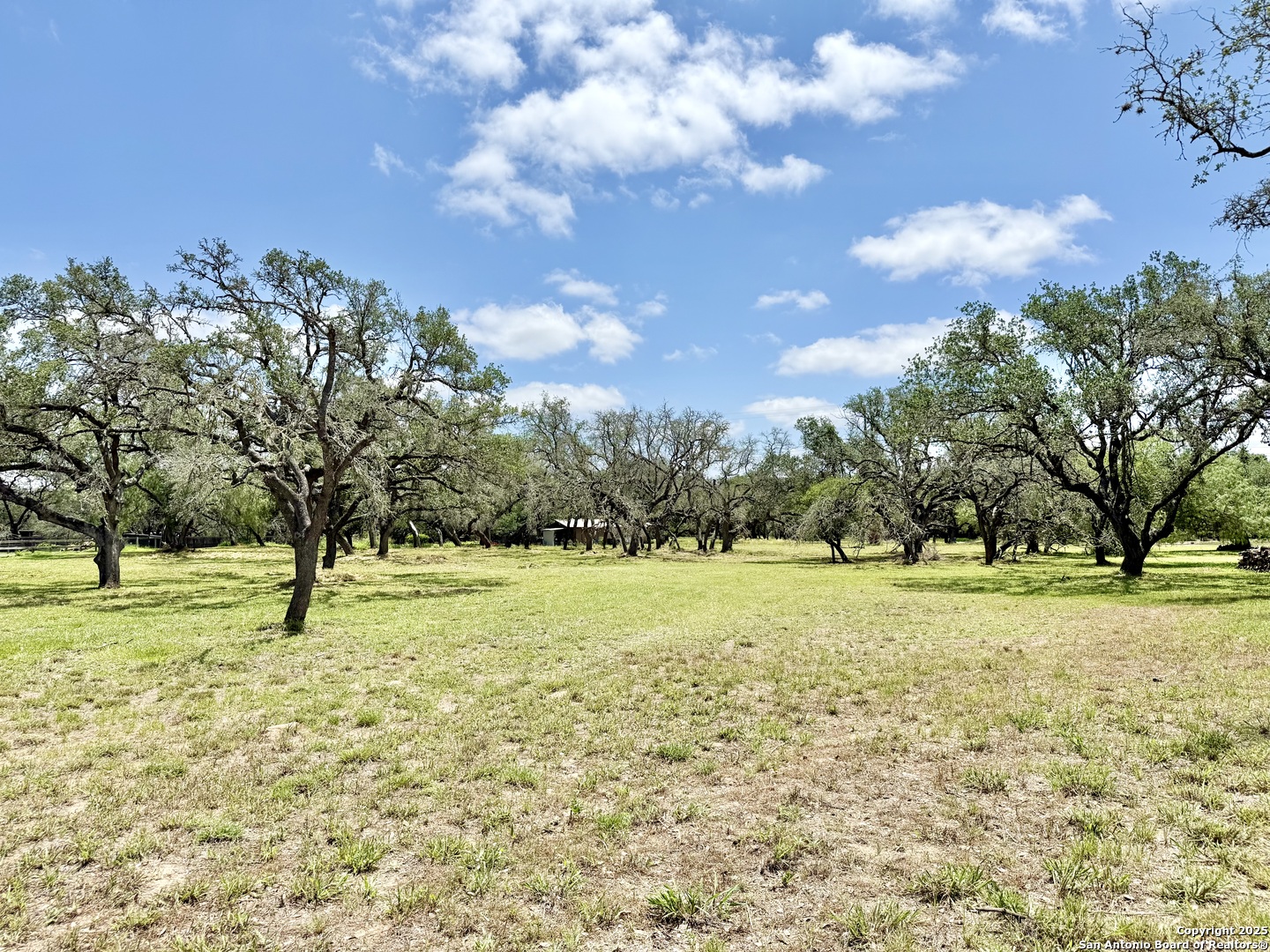Lot 53a Massad Pleasanton TX 78064
