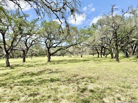 Lot 53a Massad Pleasanton TX 78064