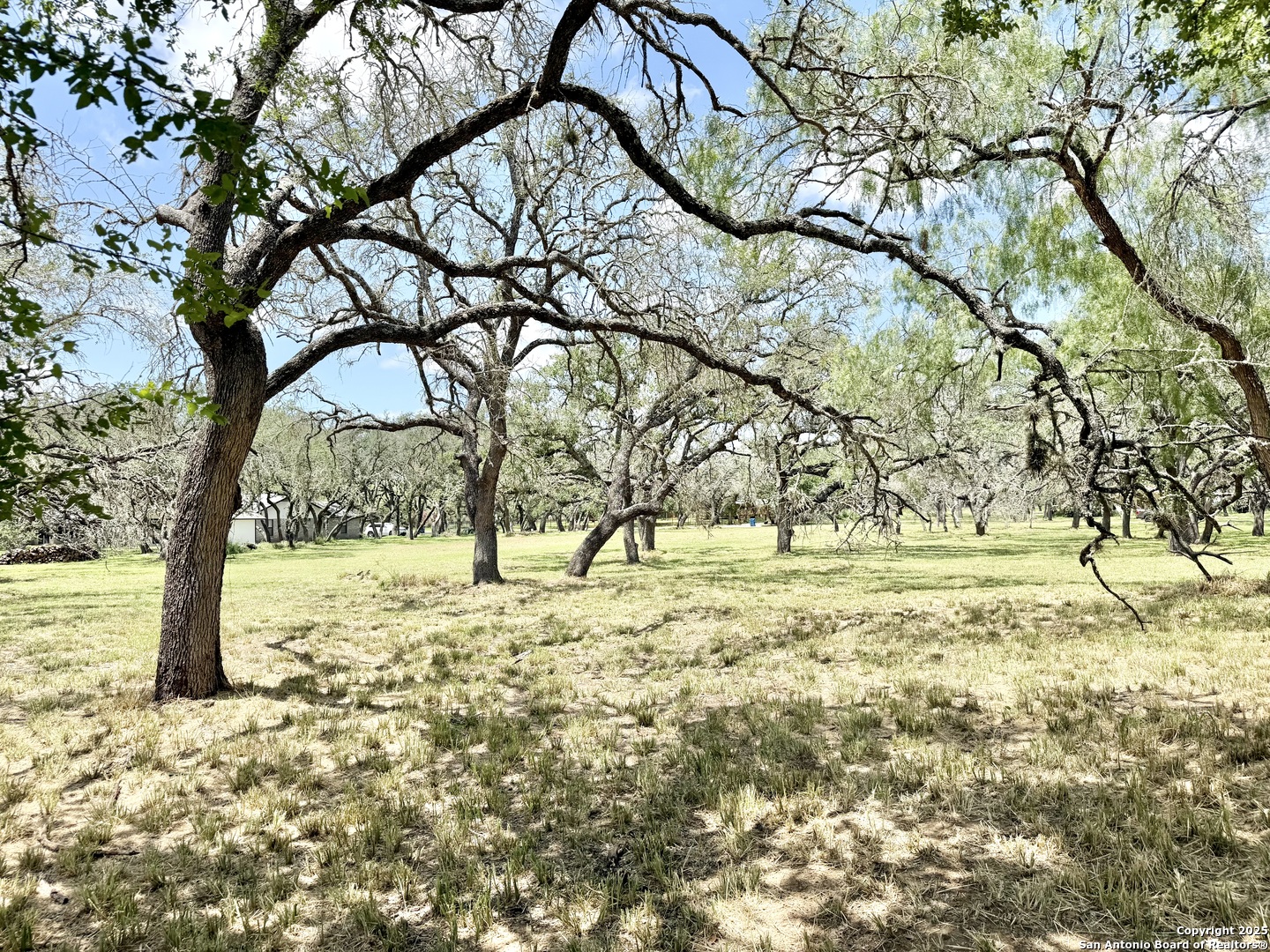 Lot 53a Massad Pleasanton TX 78064