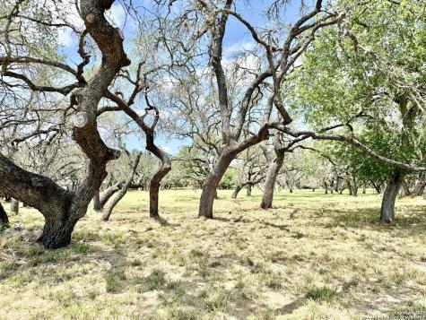 Lot 53a Massad Pleasanton TX 78064