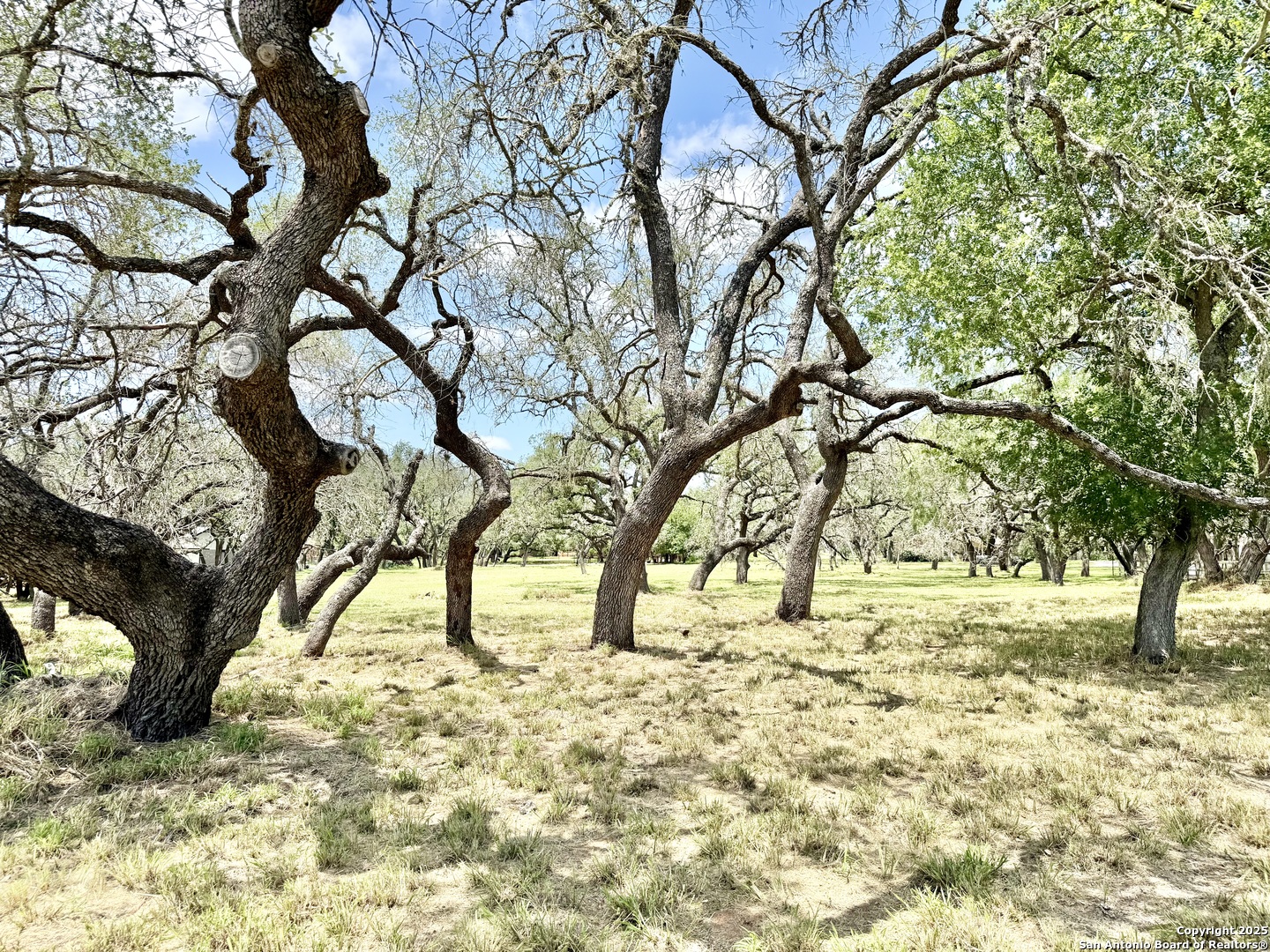 Lot 53a Massad Pleasanton TX 78064