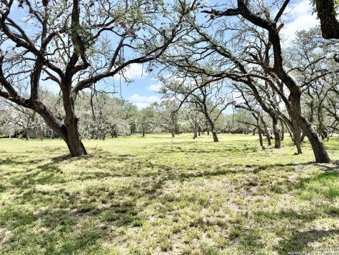 Lot 53a Massad Pleasanton TX 78064