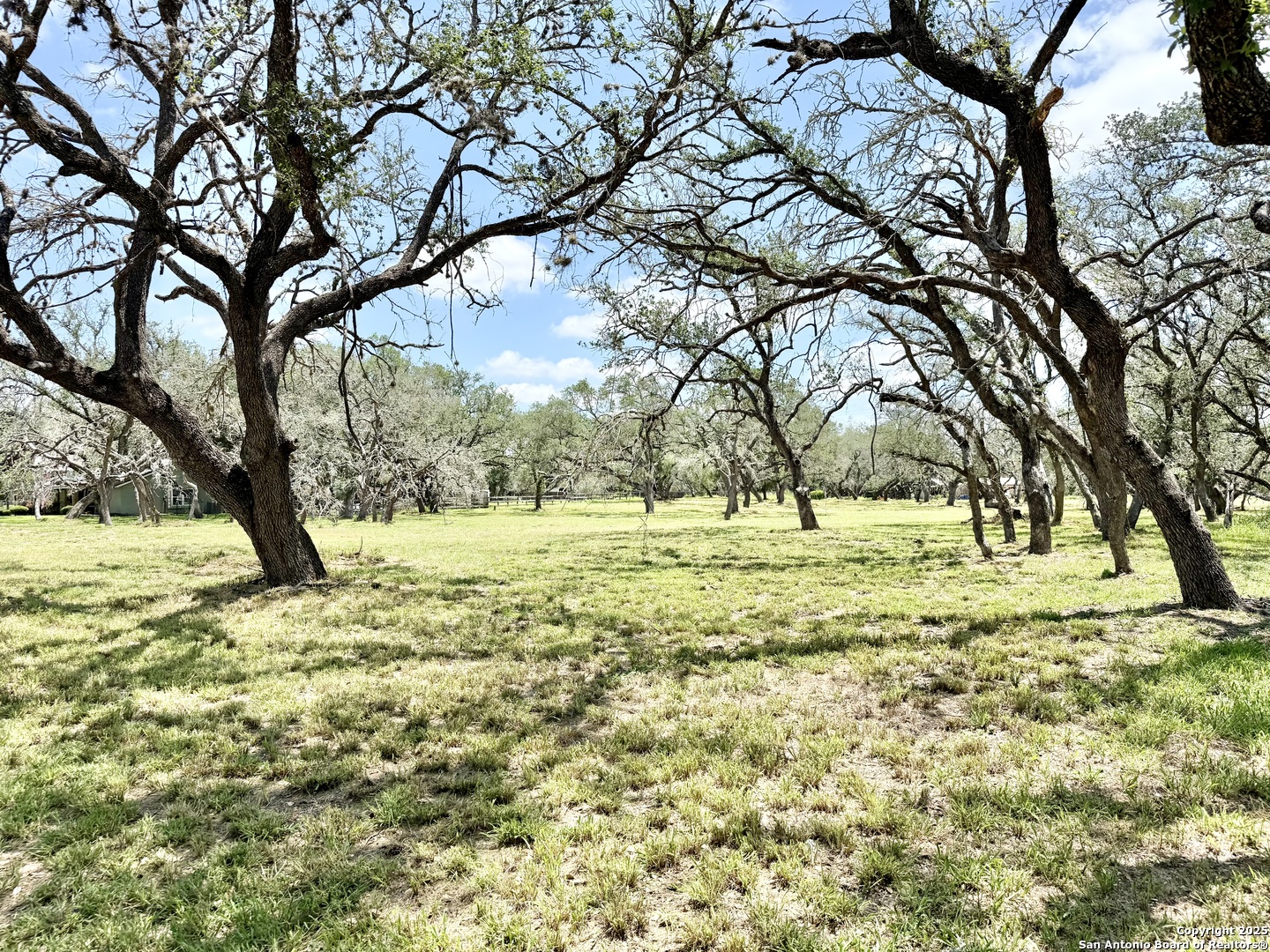 Lot 53a Massad Pleasanton TX 78064