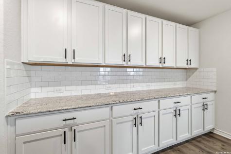 13356 Sugarberry Elm San Antonio TX 78254