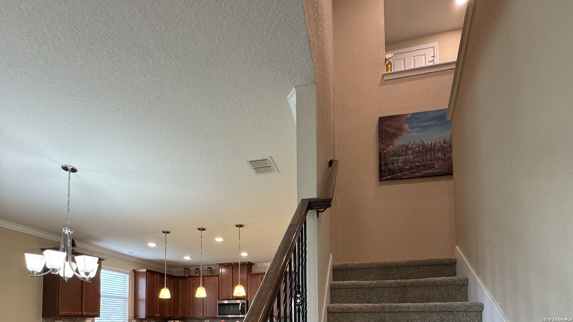 223 Anchor Bluff Universal City TX 78148