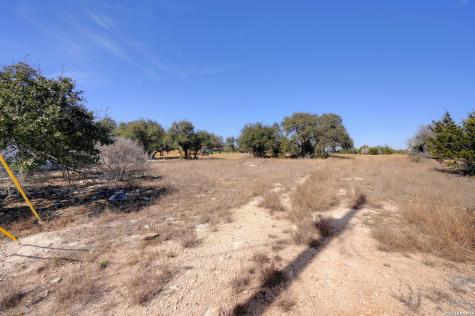 425 George Dolson Blanco TX 78606